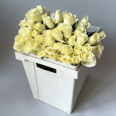 Роза "Белая"