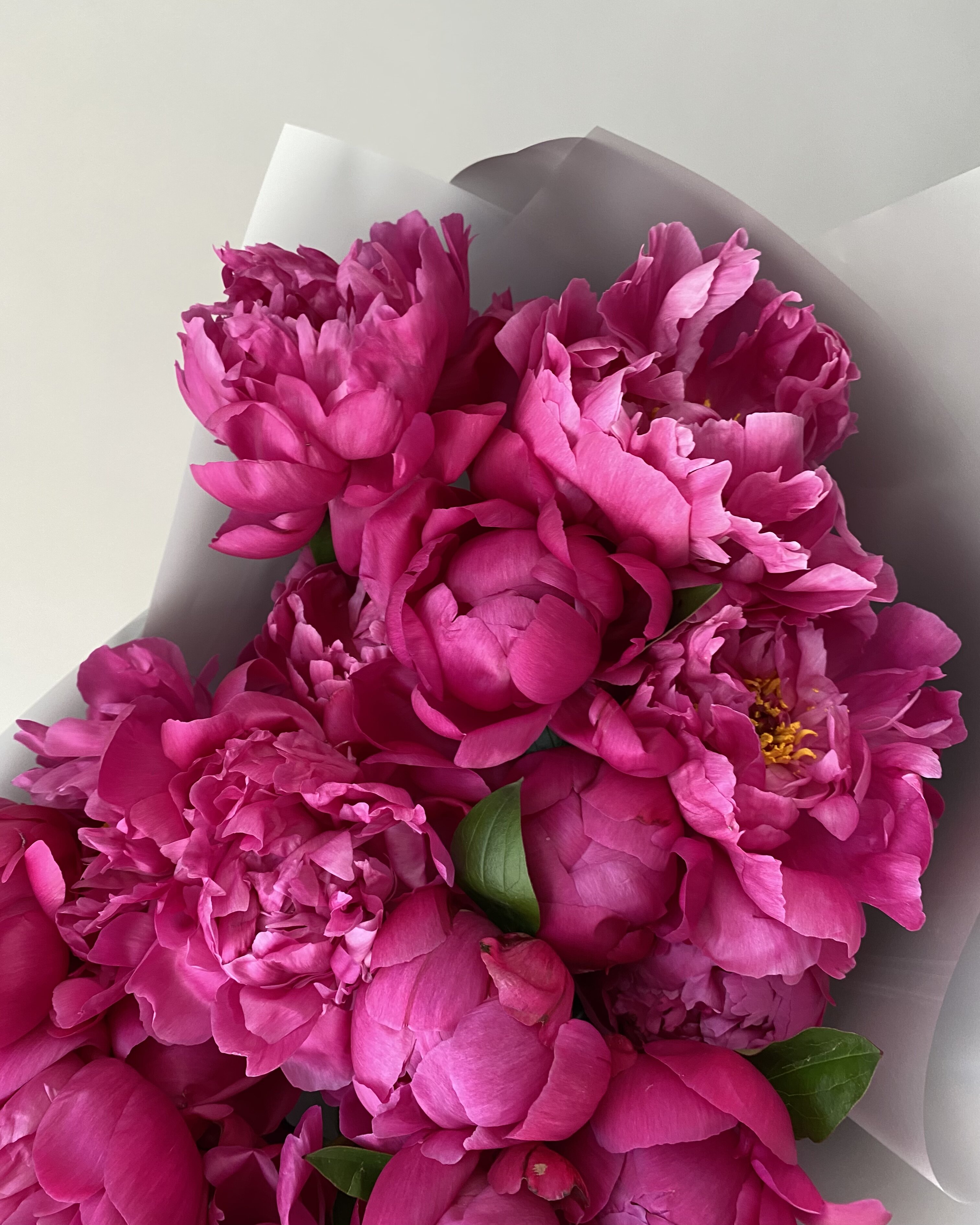 Букет пионов сорта "Ред Бернард" - всегда свежие цветы