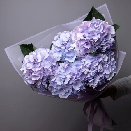 Букет Гидрангия "Лавандер" 