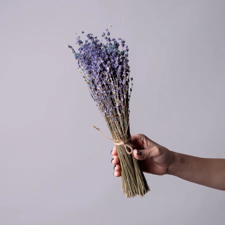 "Сухоцвет Лаванда" 