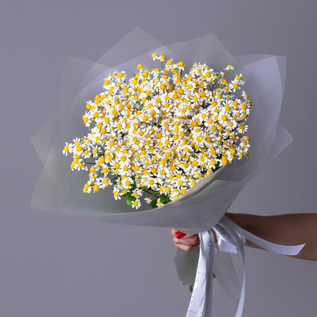 Букет Матрикария "Сингл Вигмо" 