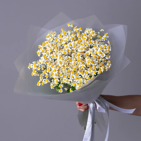 Букет Матрикария "Сингл Вигмо" 