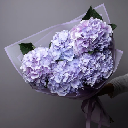 Букет Гидрангия "Лавандер" 