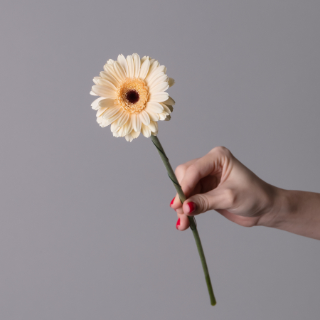 Гермини "Касиллас"