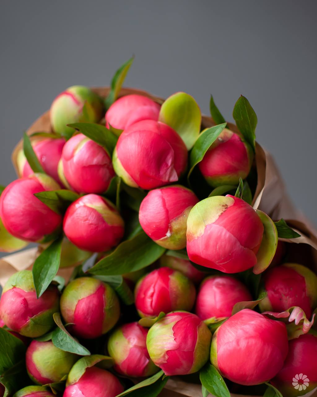 В наличии свежие шарики ароматных пионов «Корал Шарм»