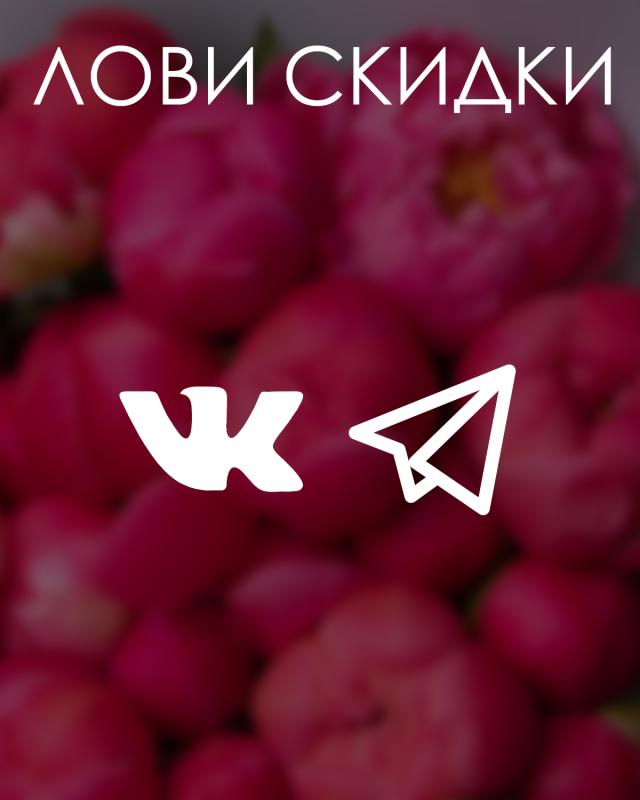 Акции каждую неделю в Телеграме и ВК