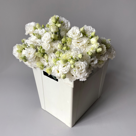 Лизиантус "Ду Селеб кристал"