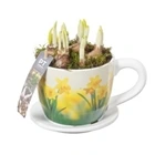 Нарцисс в кружке макси PTN8727