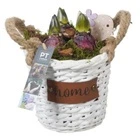 Гиацинт Композиция в белой корзине PTHC9168