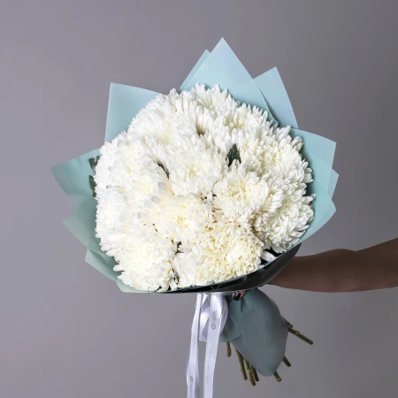 Букет Хризантема одноголовая "Антонов" 