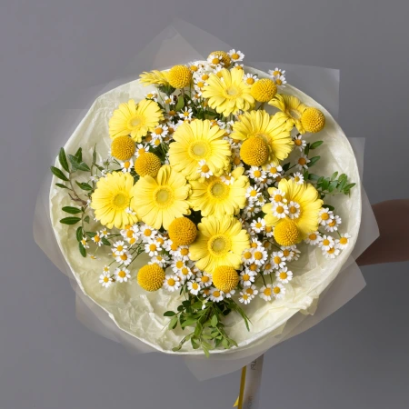 "Солнечный зайчик" 