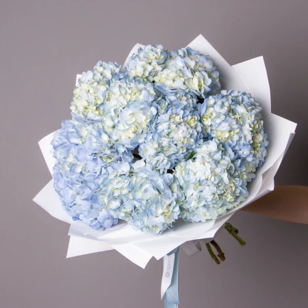 Букет Гортензия "Премиум Блю" 