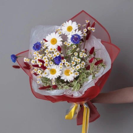 Летний туман 