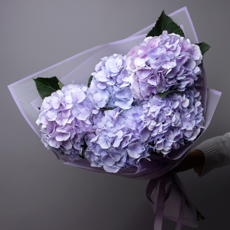 Букет Гидрангия "Лавандер" 