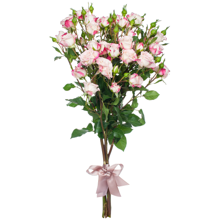 Букет Роза кустовая "Микс" 