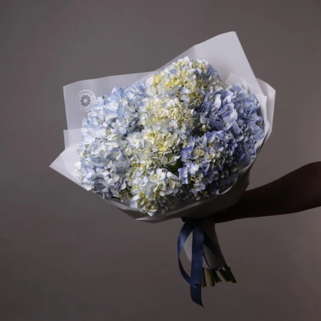 Букет Гидрангия "Премиум Блю Кролла" 