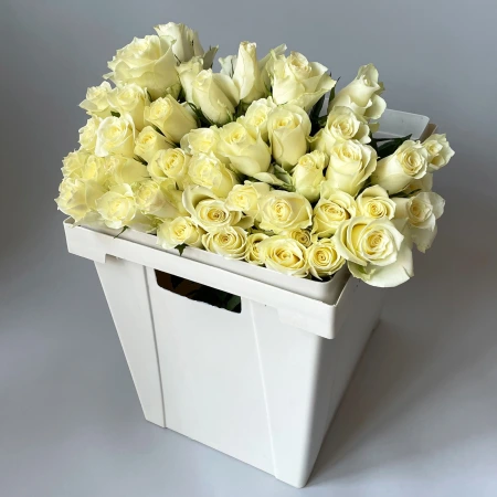 Роза "Белая"