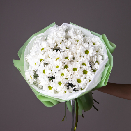 Букет Хризантема кустовая "Кеннеди" 