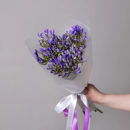 Букет Агапантус "Блу Ривер" 