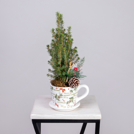 Ель Коника в кружке рожественской PTK25345