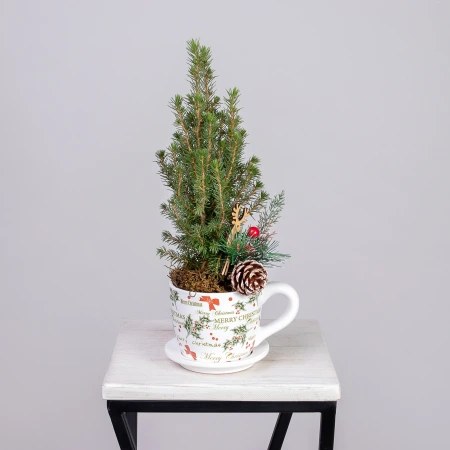 Ель Коника в кружке рожественской PTK25345