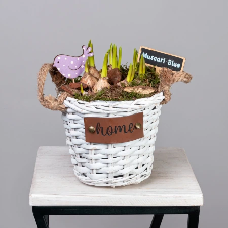 Мускари в белой корзине с ручками PTMB6233