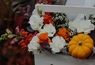 Композиции
