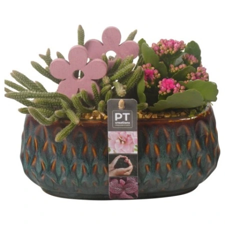 Цветущая Композиция в синей керамике ромбик Ptib7007