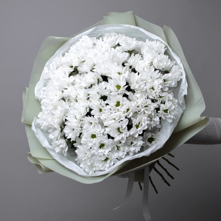 Букет Хризантема кустовая "Шик" 