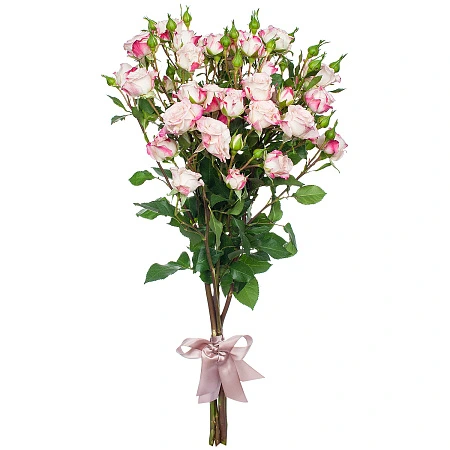 Букет Роза кустовая "Микс" 