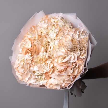 Букет Гидрангия "Пич" 