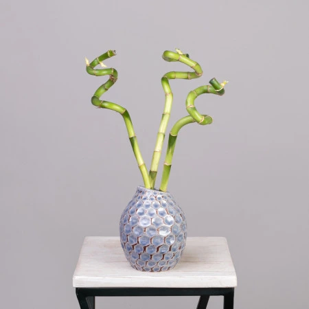 Бамбук в вазе Кожа Синего Дракона РРр