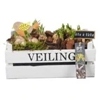 Нарцисс в белом деревянном ящике PTN8687