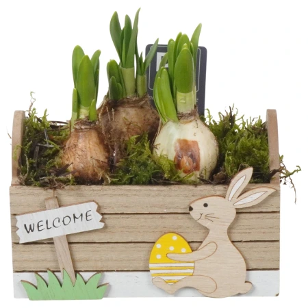 Нарцисс композиция в Ящике Весна PTNP4486