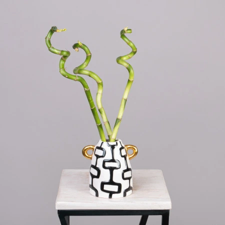 Бамбук в вазе Геометрия РРр