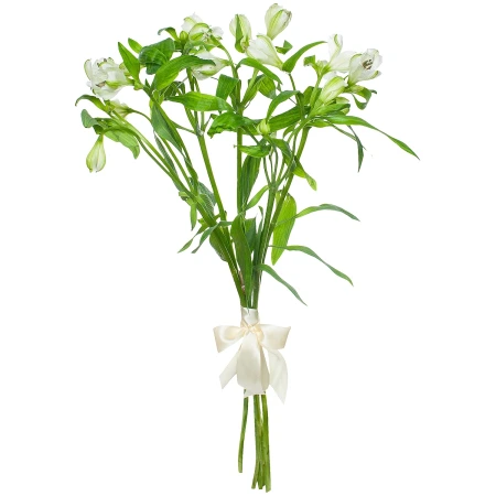 Букет Альстромерия "Вирджиния" 