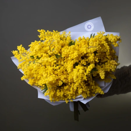 Букет Мимоза итальянская (1 стебель=1 пучок, 400 грамм) 