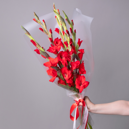 Букет Гладиолус "Ред Баланс" 