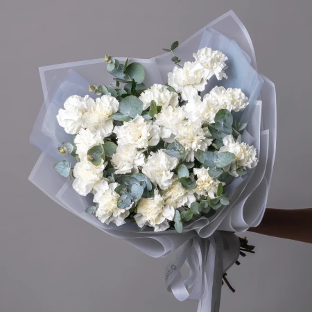 Белые Диантусы 