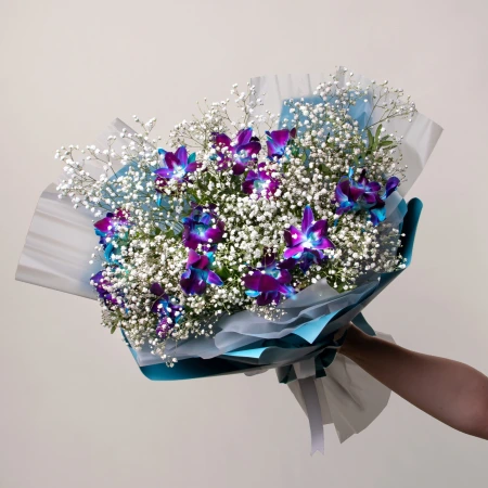 Северное сияние L 