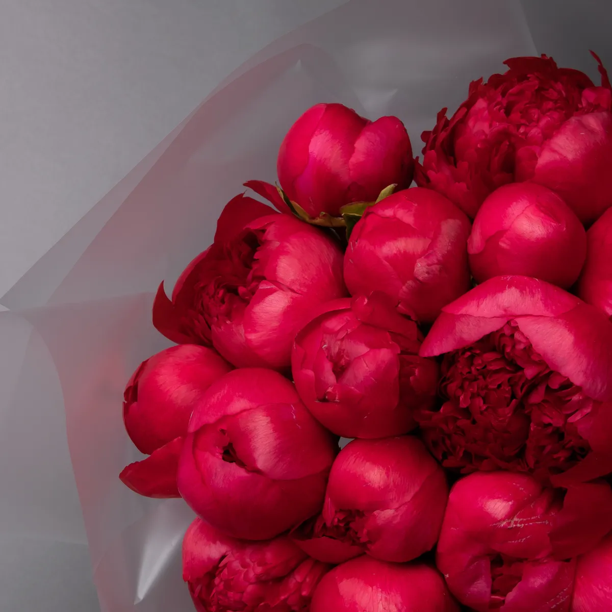 Букет Пион "Комманд Перфоманс"3