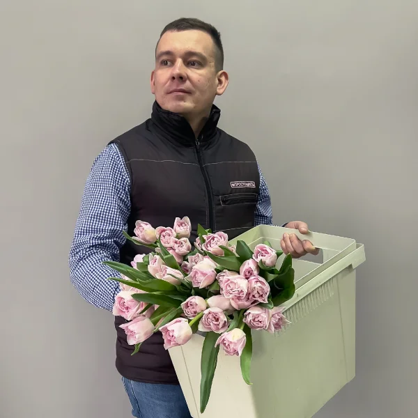 Тюльпан "Ду Мираж"_2