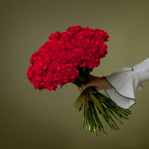 Букет Гвоздика "Красная"