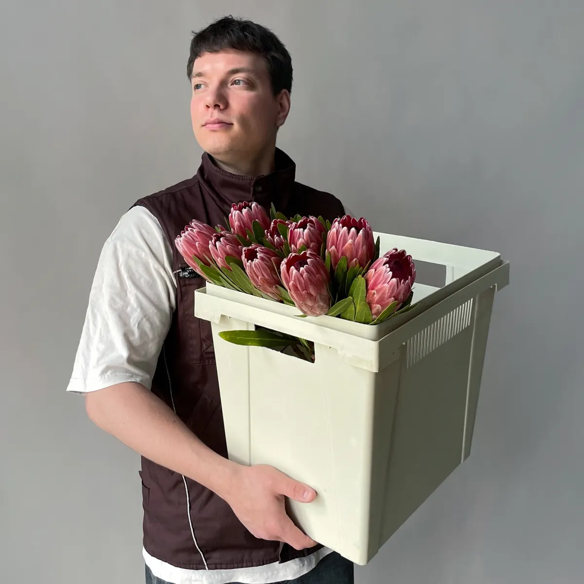 Протея "Пинк Айс"_2