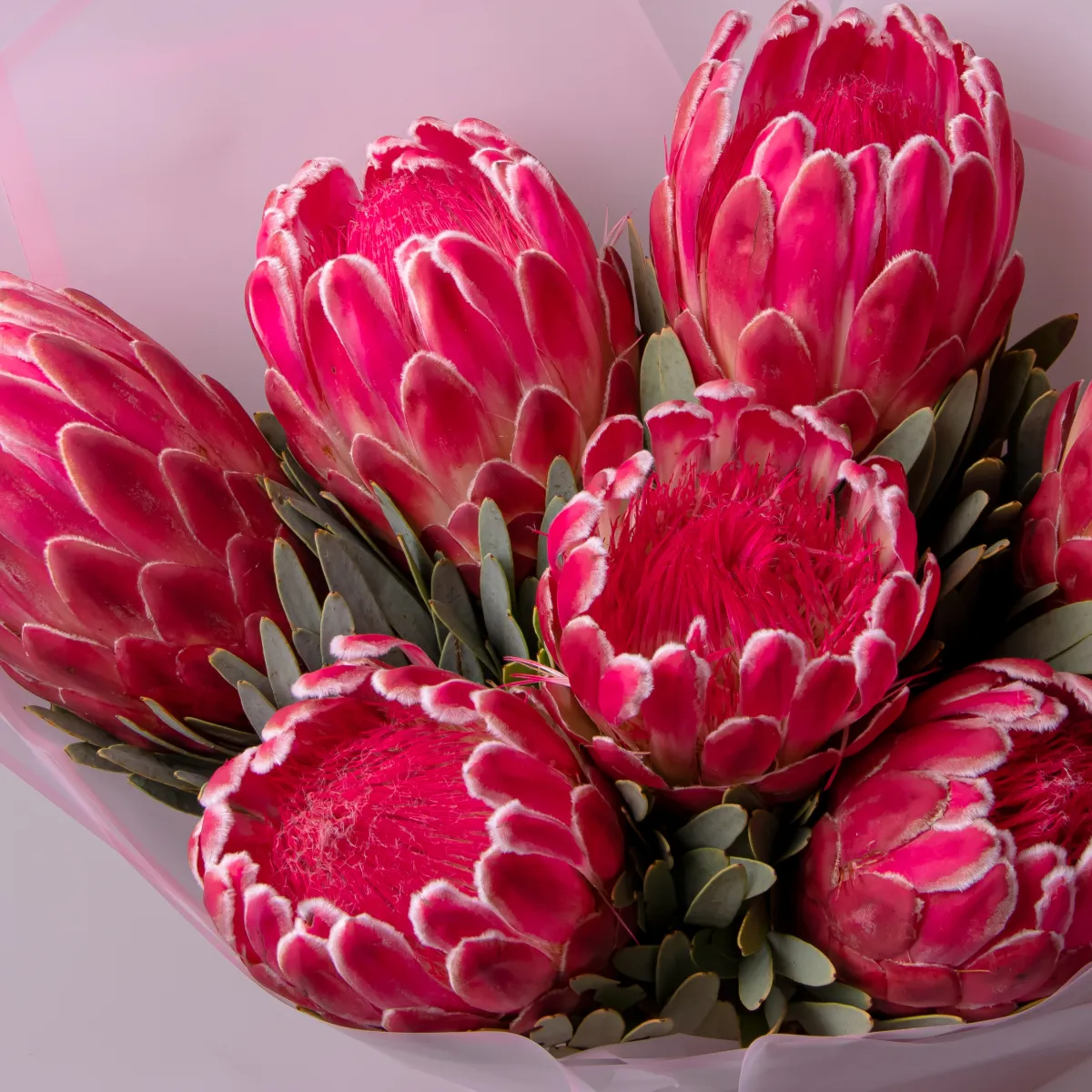 Букет Протея "Ланселот"_4