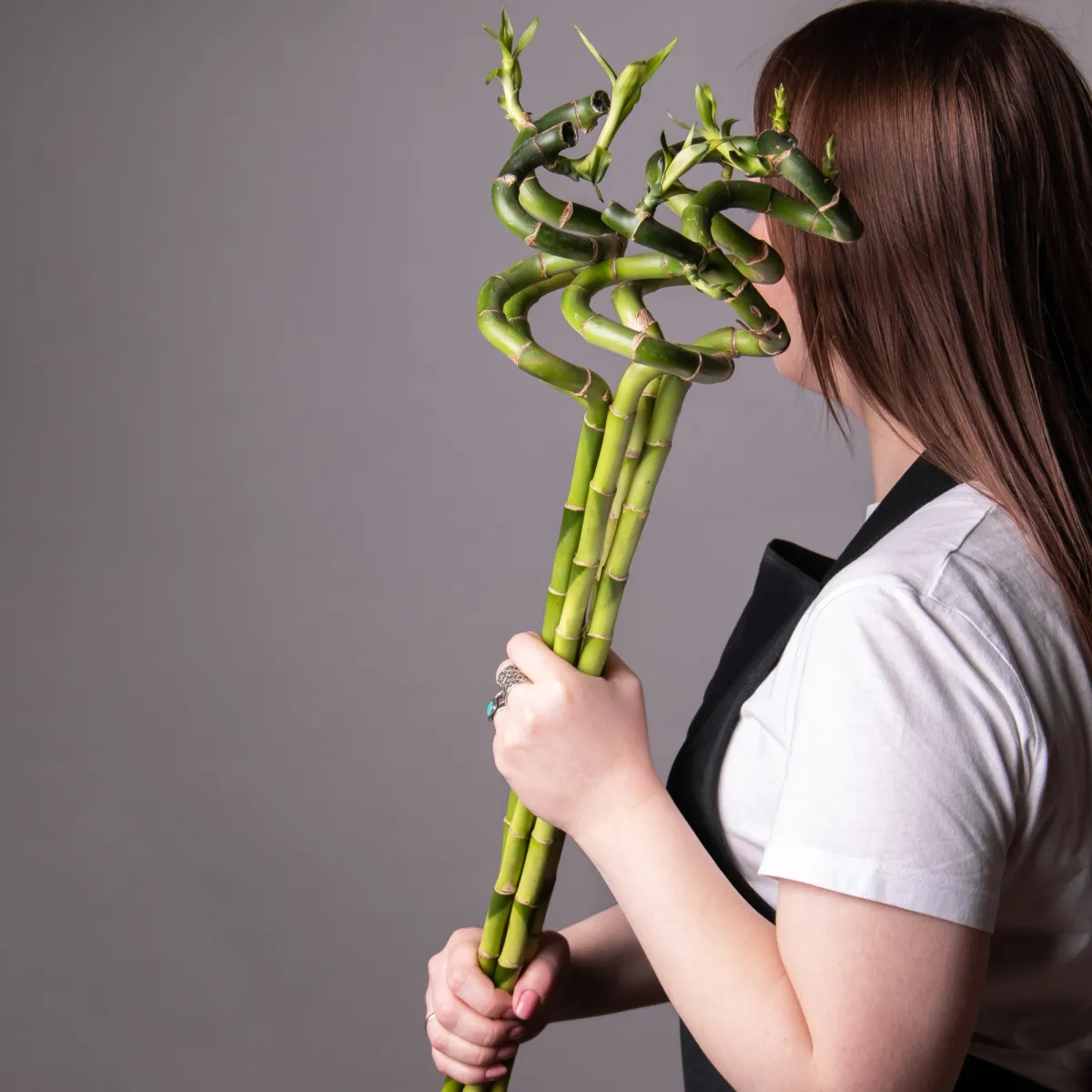 Бамбук Лаки спираль в пробирке