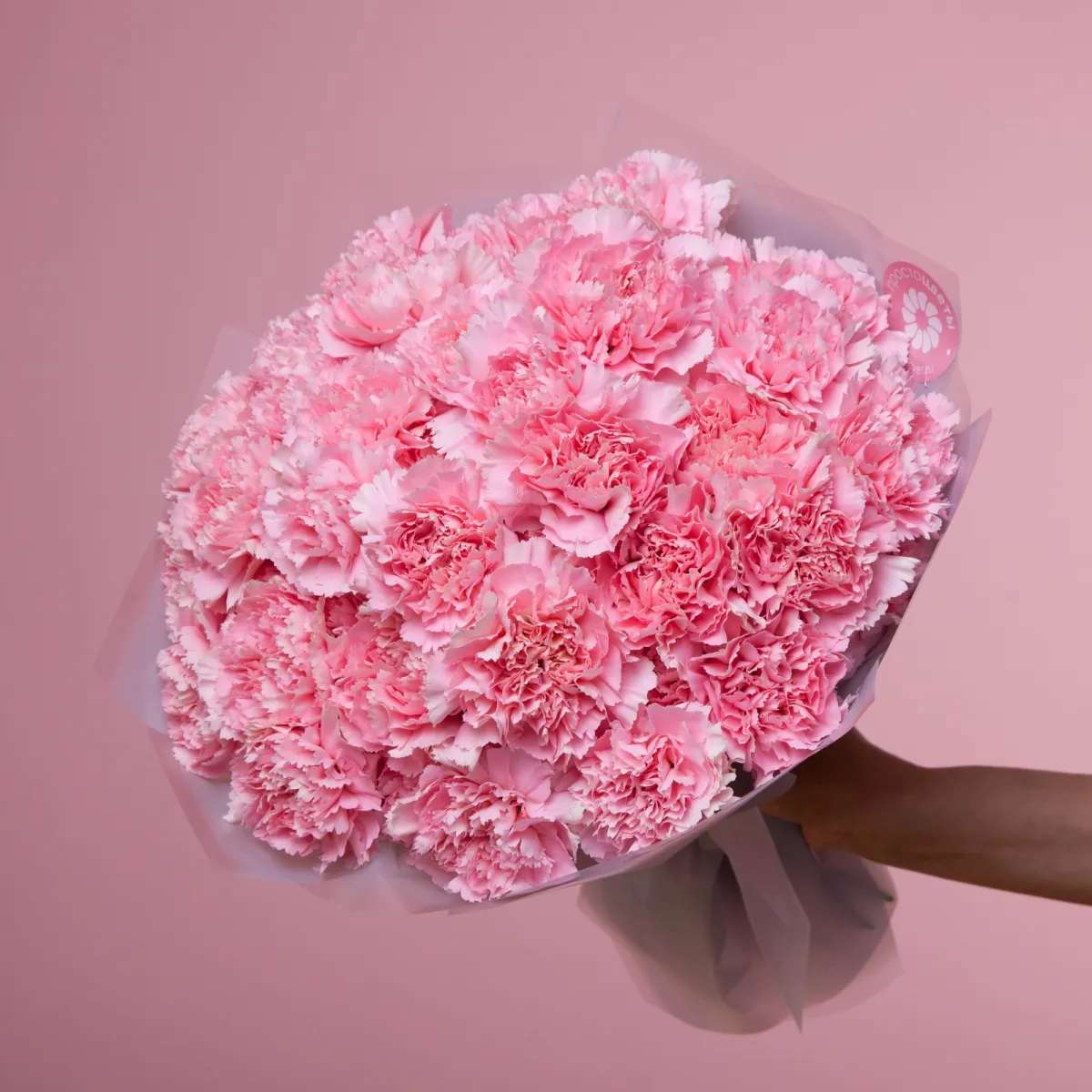 Букет Гвоздика "Микс"