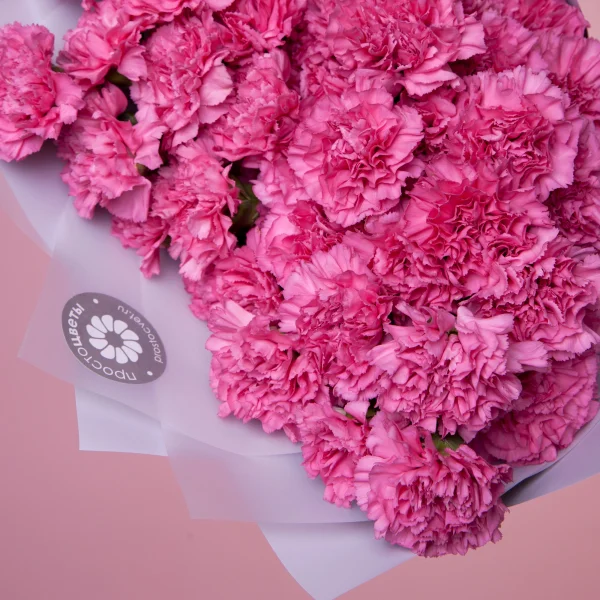 Букет Гвоздика "Микс"