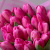 Букет Тюльпан 