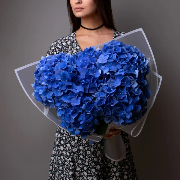 Букет Гидрангия "Пимпернел"